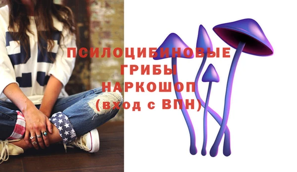 крисы Рославль